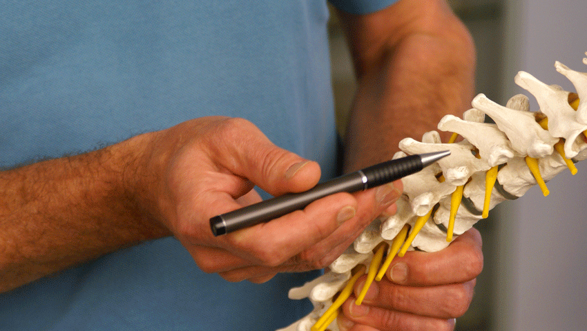 A chiropractor pointing to specific parts of a model spine